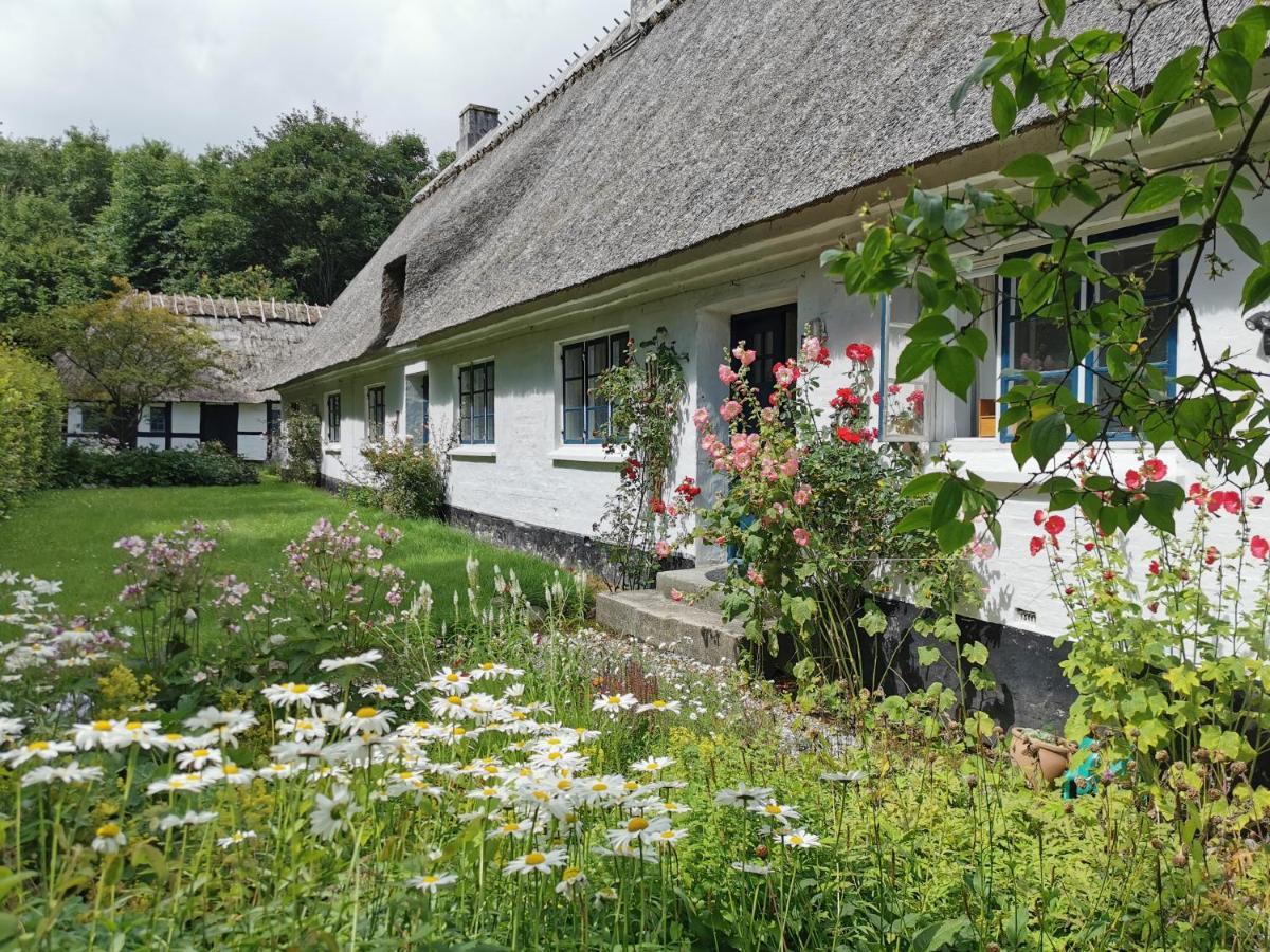Plantepressen B&B Fåborg Exterior foto