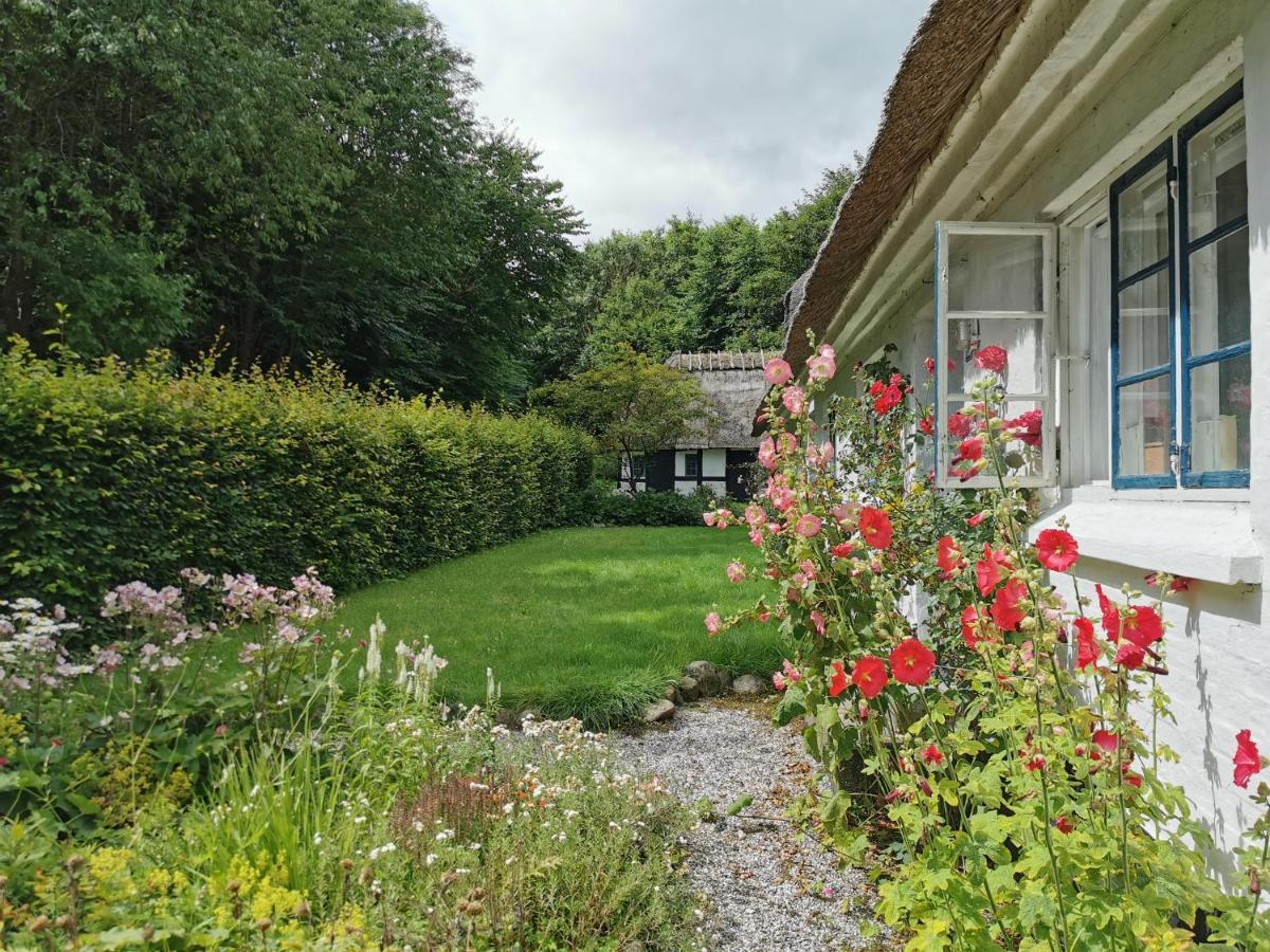 Plantepressen B&B Fåborg Exterior foto