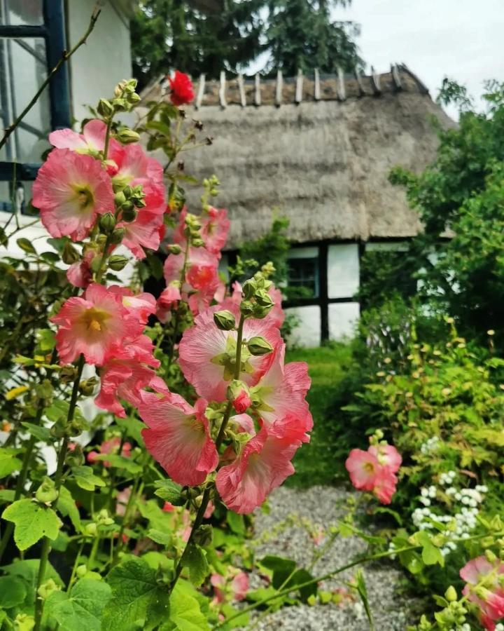 Plantepressen B&B Fåborg Exterior foto